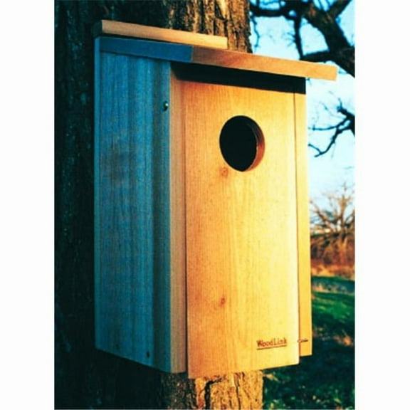 WoodLink Flicker Birdhouse 2.5" Hole Nesting Box for Flickers, Owls, Kestrels