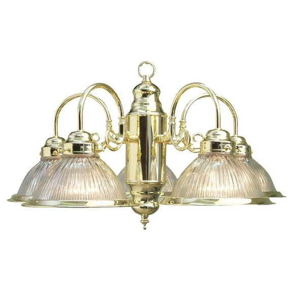 Woodbridge Lighting Basic 24" 5-light Steel & Glass Chandelier in Brass/Clear