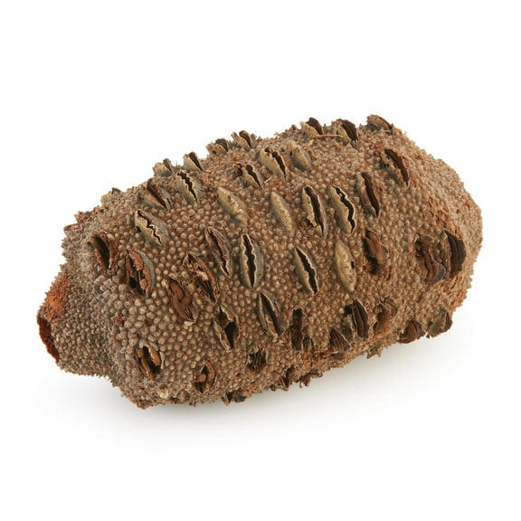 Woodcraft Banksia Pod 1-Piece