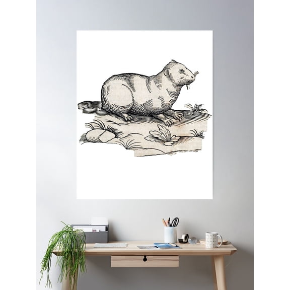 Woodcuts Bestiary - Indian Little Pig Cony Poster Wall Art, Modern Wall Decor For Living Room Bedroom, 8x12 UNFRAMED