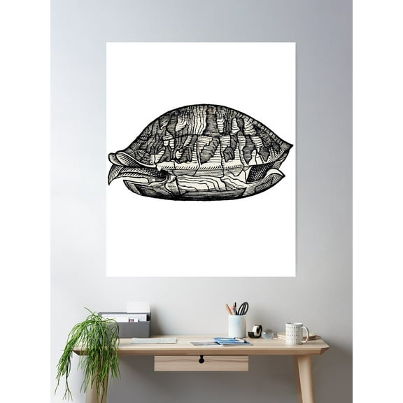 Woodcuts Bestiary - Tortoise Shell Poster Wall Art, Modern Wall Decor For Living Room Bedroom, 12x18 UNFRAMED