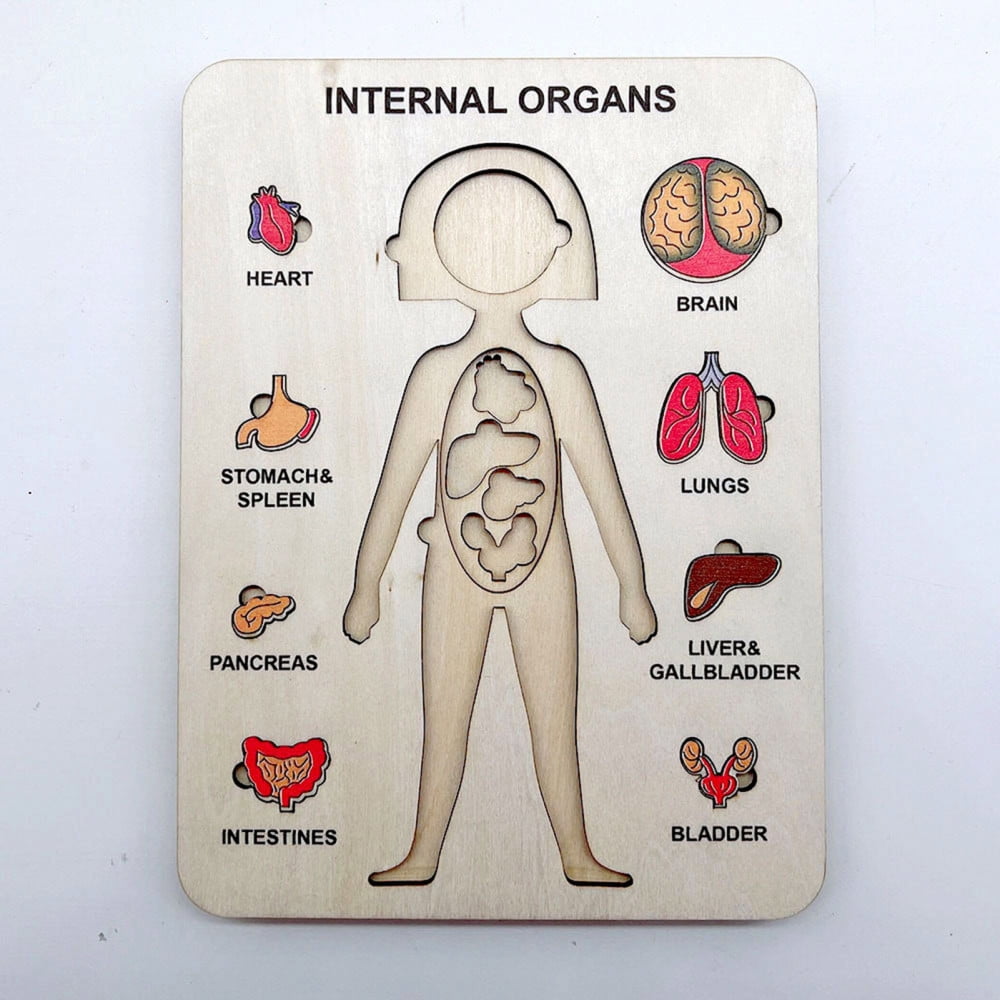 Wooden Anatomy Puzzles for Toddlers Girl/Boy Full Body Preschool