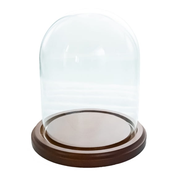 Wooden Base Glass Dome 3 x 4 Inches