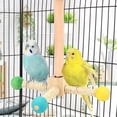 thumbnail image 1 of Wooden Bird Cage Stand | Hanging Parrot Gym with 360° Rotating Base, Sisal Rope | Multicolor, 20x16x9cm | Small Parrots, Lovebirds, 1 of 6