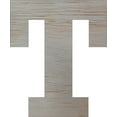 thumbnail image 1 of Wooden Block Letters, Unfinished 4'' Rockwell T, Craft, 1 of 1