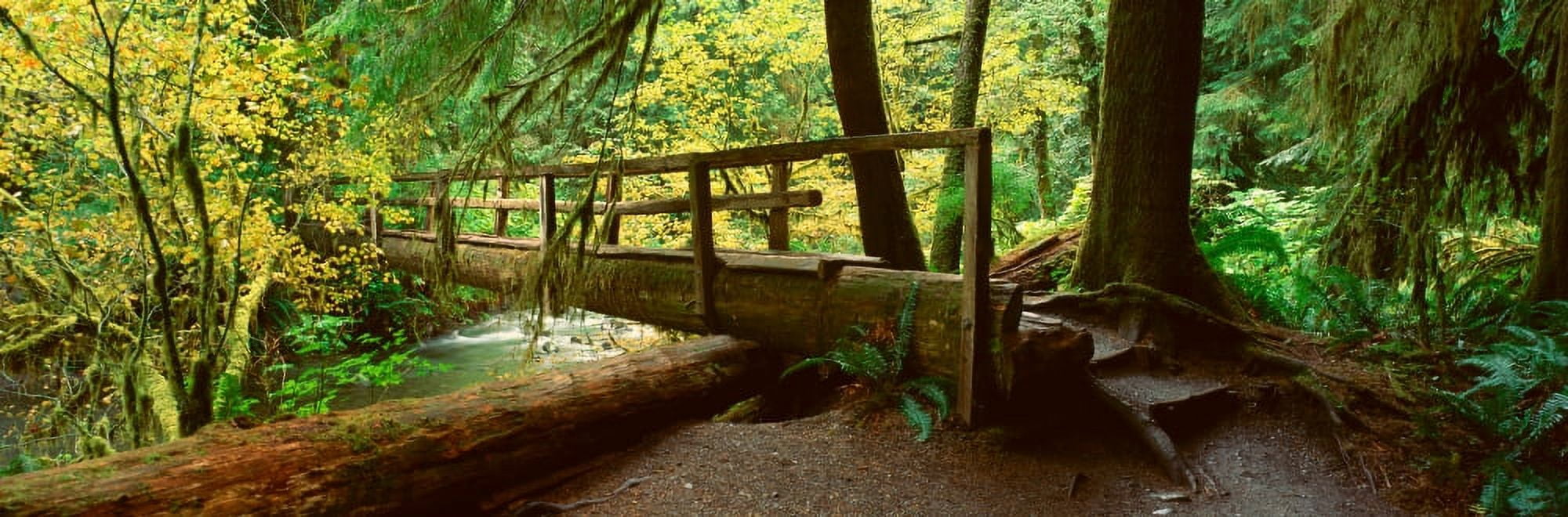 Wooden Bridge In The Hoh Rainforest Olympic National Park Washington Canvas Art - Panoramic Images (27 x 9)