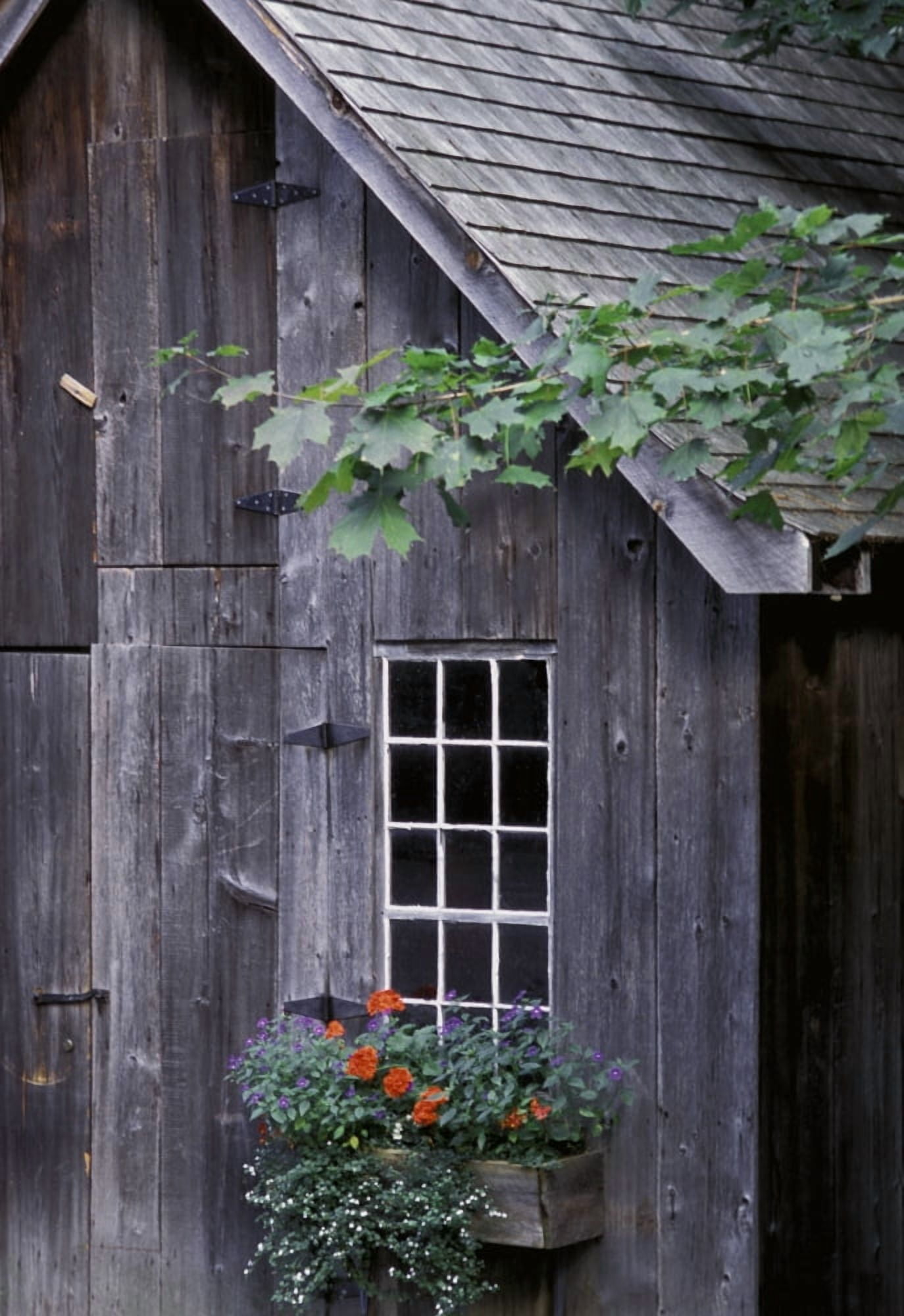 Wooden Building And Window Box Canvas Art - David Chapman Design Pics (11 x 17)