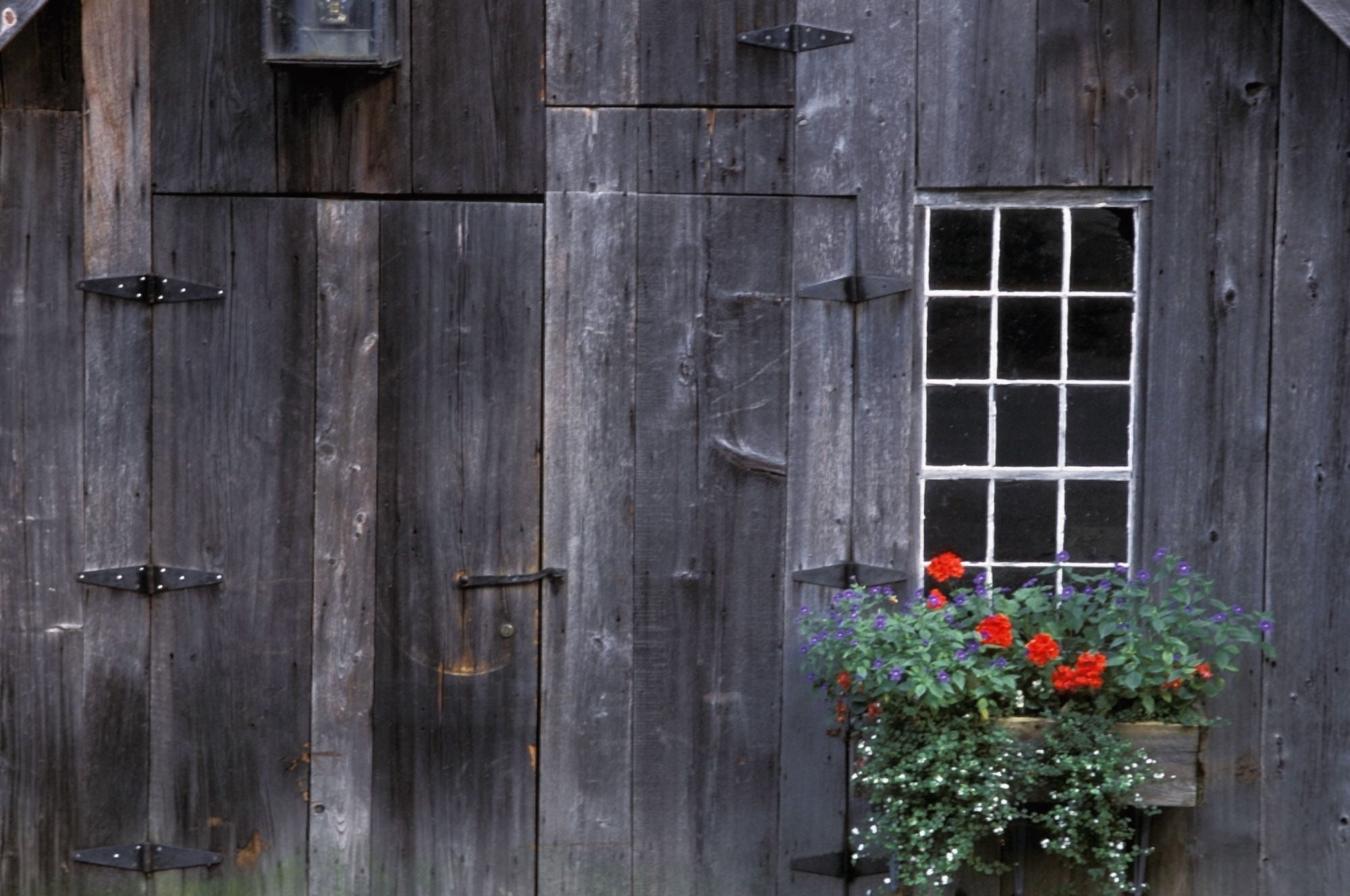 Wooden Building And Window Box Canvas Art - David Chapman Design Pics (17 x 11)