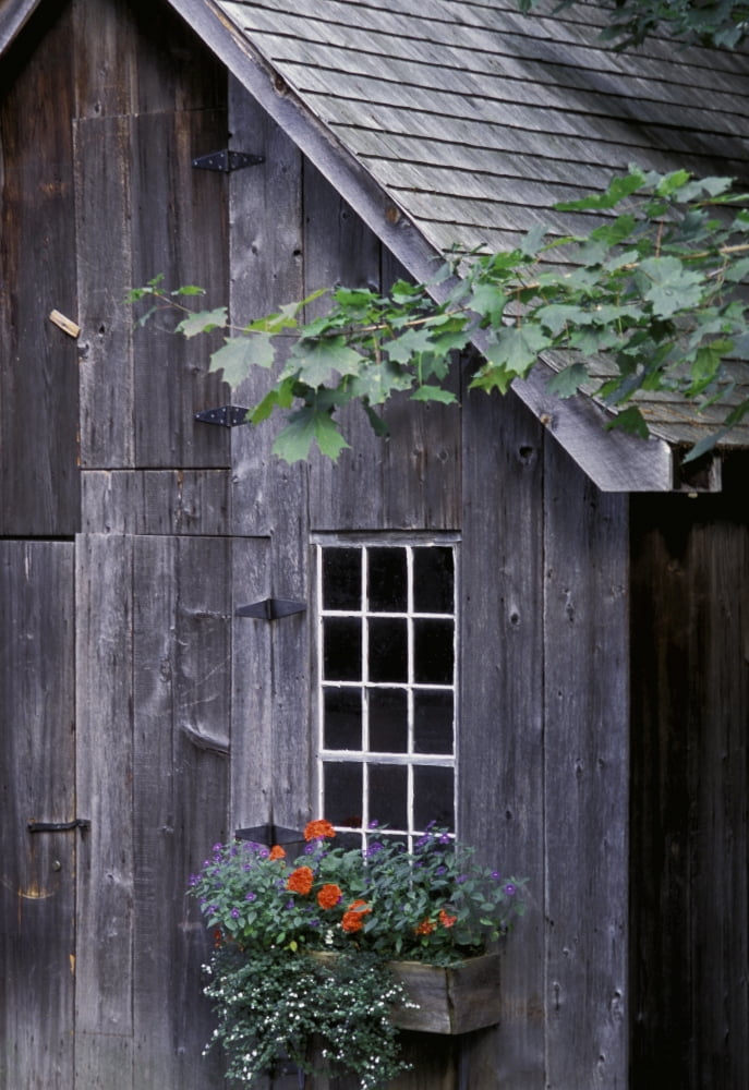 Wooden Building And Window Box Canvas Art - David Chapman Design Pics (22 x 34)