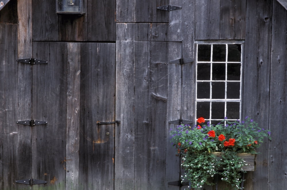Wooden Building And Window Box Canvas Art - David Chapman Design Pics (34 x 22)
