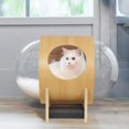 thumbnail image 1 of BonChoice Spaceship Large Indoor Cat House with Removable Cushion, Multi-color, 1 of 5