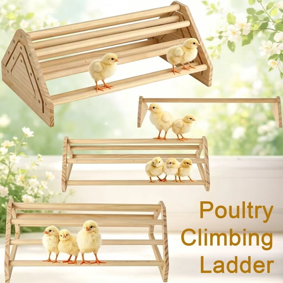 Wooden Chick Perch Stand, Young Poultry Roosting Bar, Chicken Coop Jungle Gym Perch Toy for Brooder Baby Chicks Parrots, Assembly Required