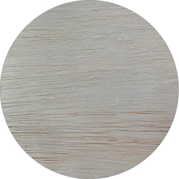 Wooden Circle Cutout, 10'' Unfinished Round Shape