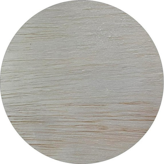 Wooden Circle Cutout, 10'' Unfinished Round Shape