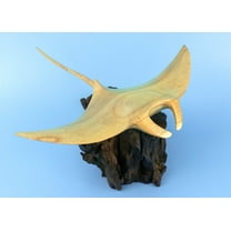 Wooden Hand Carved Stingray on Coral Statue Sculpture Wood Decor Accent Fish Figurine Handcrafted Handmade Seaside Tropical Nautical Ocean Coastal Size: 8" long x 6" deep x 4" tall