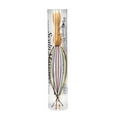 thumbnail image 1 of Wooden Handle Scalp Massager-Rainbow, 1 of 1