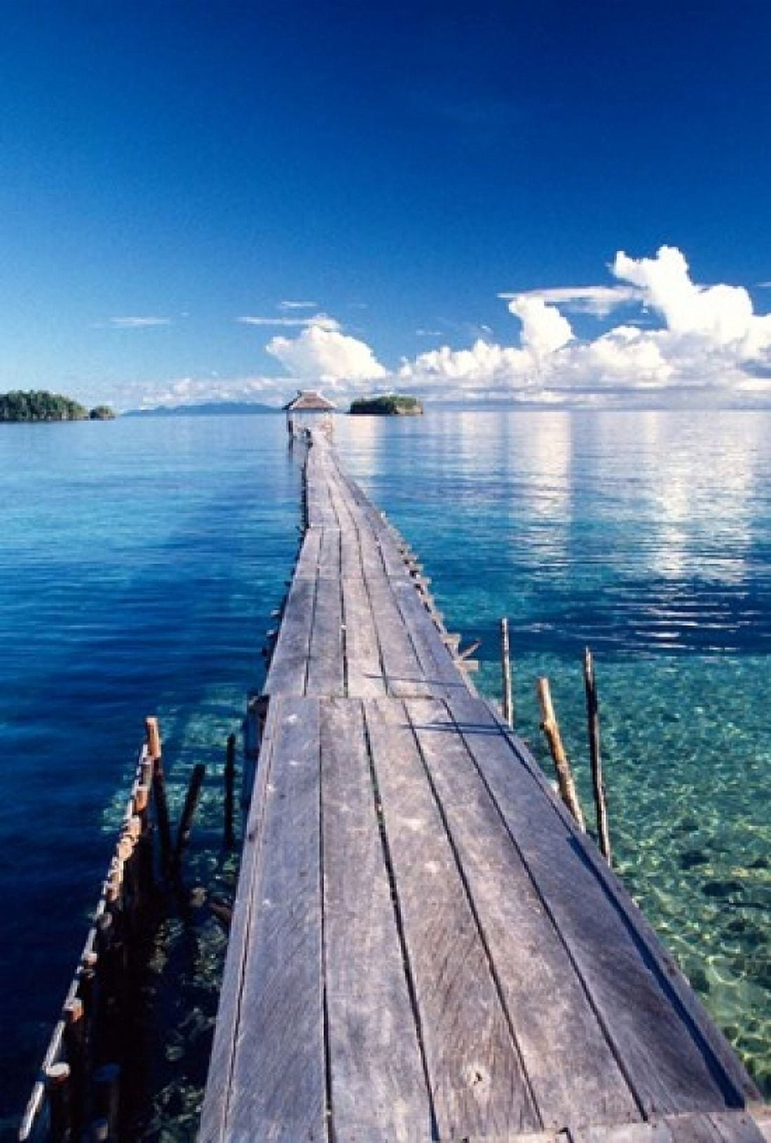 Wooden Jetty Extending off Kadidiri Island Togian Islands Sulawesi Canvas Art - Jay Sturdevant DanitaDelimont (24 x 36)
