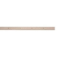 thumbnail image 1 of Wooden Meter Stick - 6 Each, 1 of 1