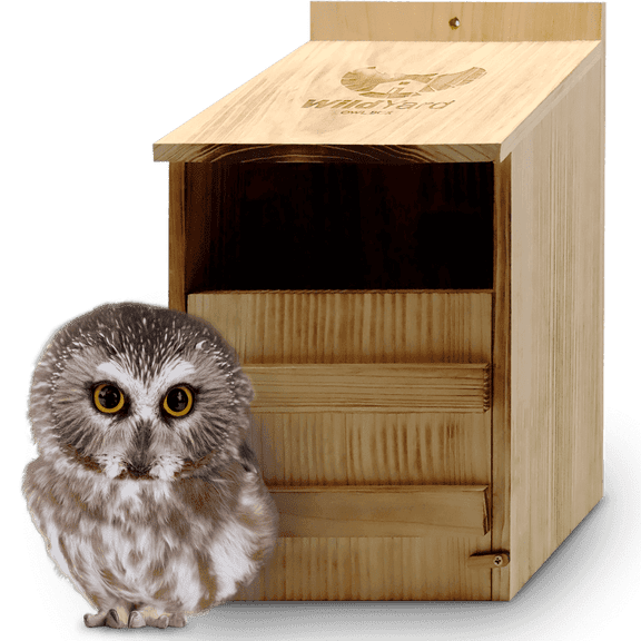 Wildyard Owl Nesting Box Natural Wood Bird House for Screech Saw-Whet & Boreal Owls