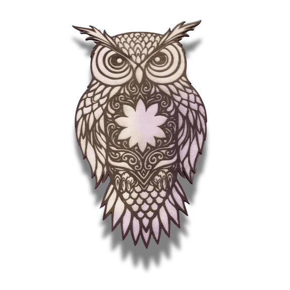 Wooden Owl Wall Art Laser Cut & Engraved 10 x 6 in 3mm Wood