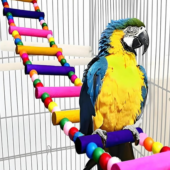 Beautiful view of Macaw Exercise And Play Equipment For Large
