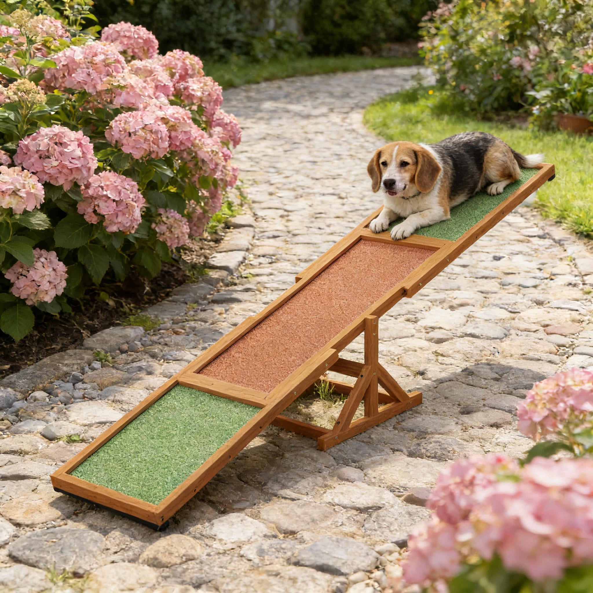 Wooden Pet Dog Agility Seesaw