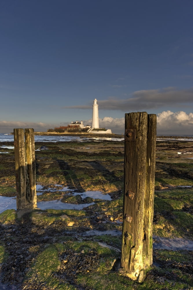 Wooden Posts And Lighthouse In Distance Whitley Bay Northumberland England Canvas Art - John Short Design Pics (24 x 36)
