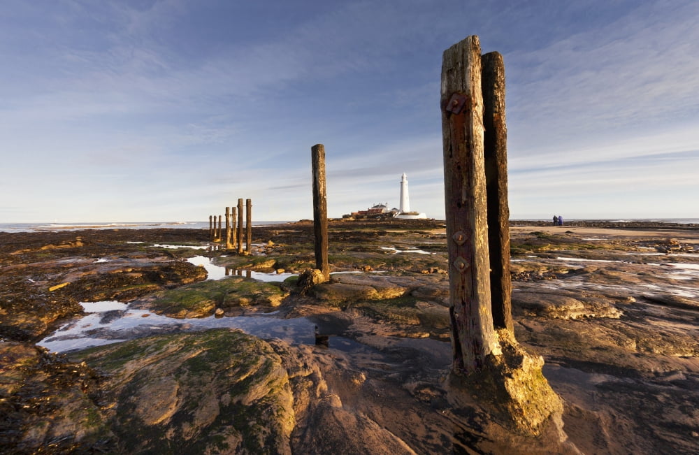 Wooden Posts At The Waters Edge With A Lighthouse In The Distance At Whitley Bay Northumberland England Canvas Art - John Short Design Pics (19 x 12)