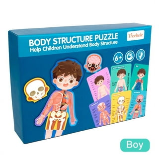 DIY Female Human Body Puzzle Kit, Internal Organs Matching Game – My Art Box