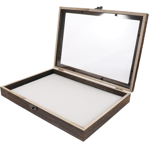 Wooden Specimen Shadow Box - 810 Display Case with Glass Front (Butterfly/Pin Collection)
