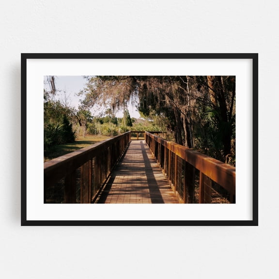 Wooden Walkway - Crystal River Florida Photography Boardwalk Nature Woodland Scenic Spanish Moss Landscape Forest Black Framed Wall Art Print 5 x 7 inches