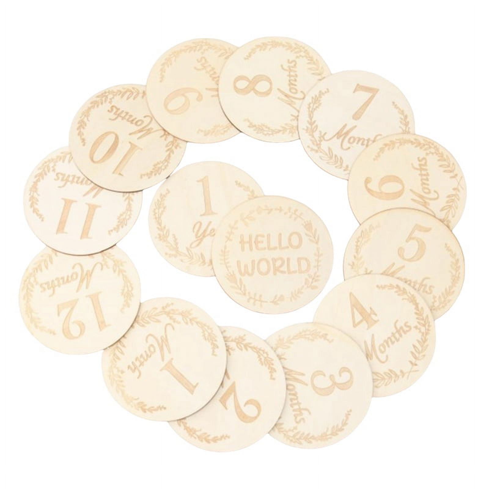 Wooden and Discs 14Pc Set for Baby Photos and First Year ,Number ...