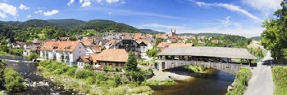 Wooden bridge across a stream Forbach Murgtal Valley Black Forest Baden-Wurttemberg Germany Canvas Art - Panoramic Images (18 x 6)