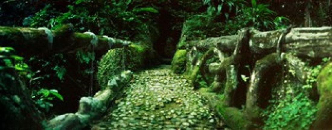 Wooden bridge in the subtropical forest Parque Lage Jardim Botanico Corcovado Rio de Janeiro Brazil Canvas Art - Panoramic Images (15 x 6)