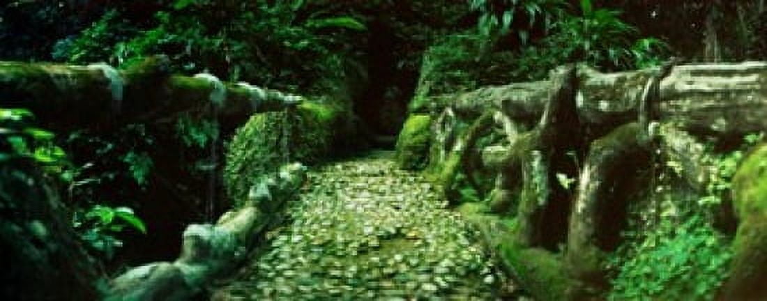 Wooden bridge in the subtropical forest Parque Lage Jardim Botanico Corcovado Rio de Janeiro Brazil Canvas Art - Panoramic Images (30 x 12)