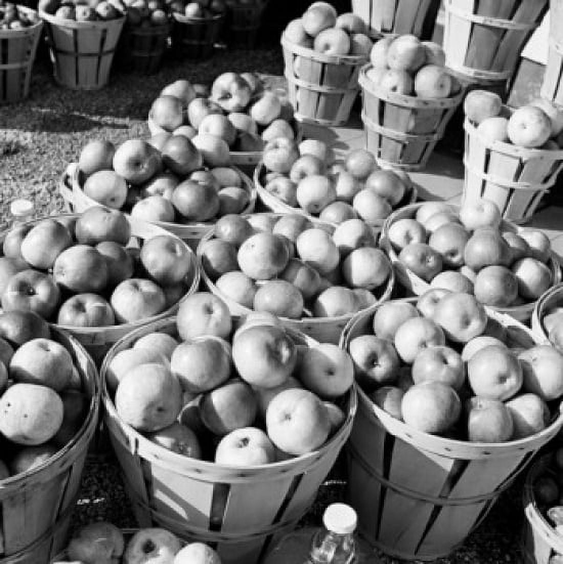 Wooden buckets with apples Canvas Art - (18 x 24)