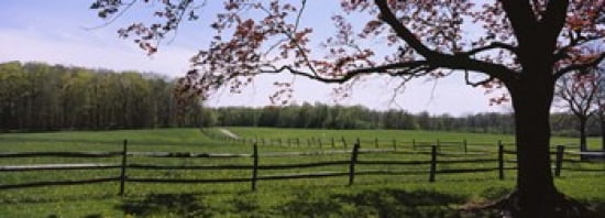 Wooden fence in a farm Knox Farm State Park East Aurora New York State USA Canvas Art - Panoramic Images (36 x 13)