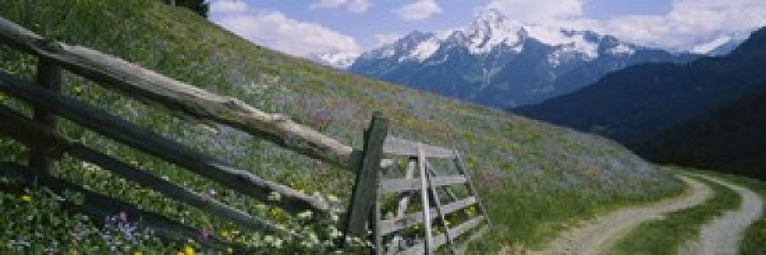 Wooden fence in a field Tirol Austria Canvas Art - Panoramic Images (18 x 6)