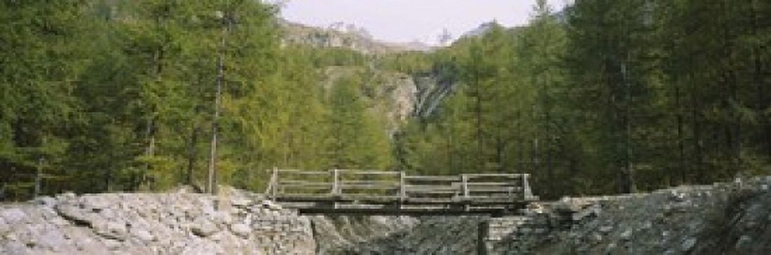 Wooden footbridge across a stream in a mountain range Switzerland Canvas Art - Panoramic Images (18 x 6)