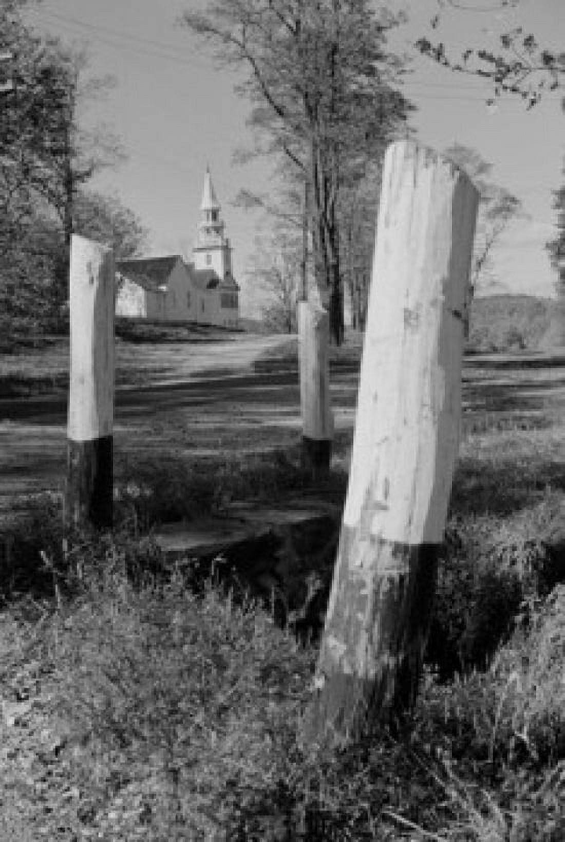 Wooden posts on roadside Canvas Art - (18 x 24)
