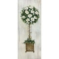 thumbnail image 1 of Woodgrain Topiary Poster Print by Sally Swatland, 1 of 2