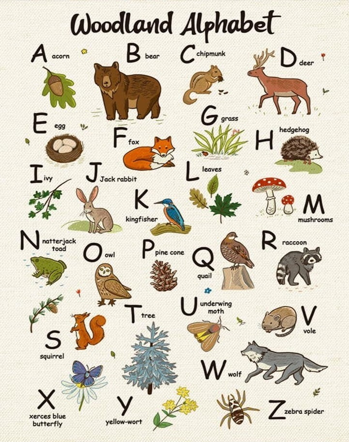 Woodland Animal Alphabet Poster, Forest Nursery Decor, Woodland Forest ...