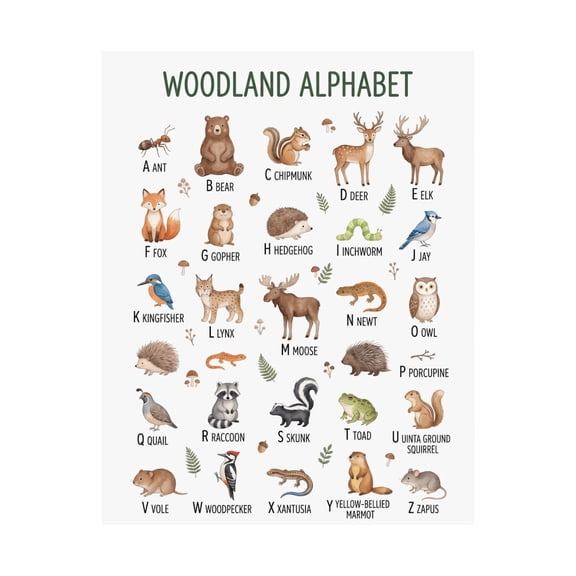 Woodland Animal Alphabet Wall Art Print, Unframed Paper Poster 24x36in