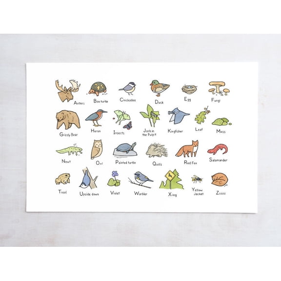 Woodland Animals Alphabet Art Print, Unframed Paper Poster 11x14in