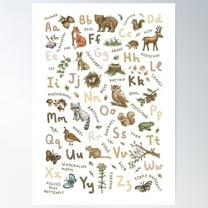 Woodland Animals Alphabet Poster Wall Art, Modern Wall Decor For Living Room Bedroom, 8x12 UNFRAMED