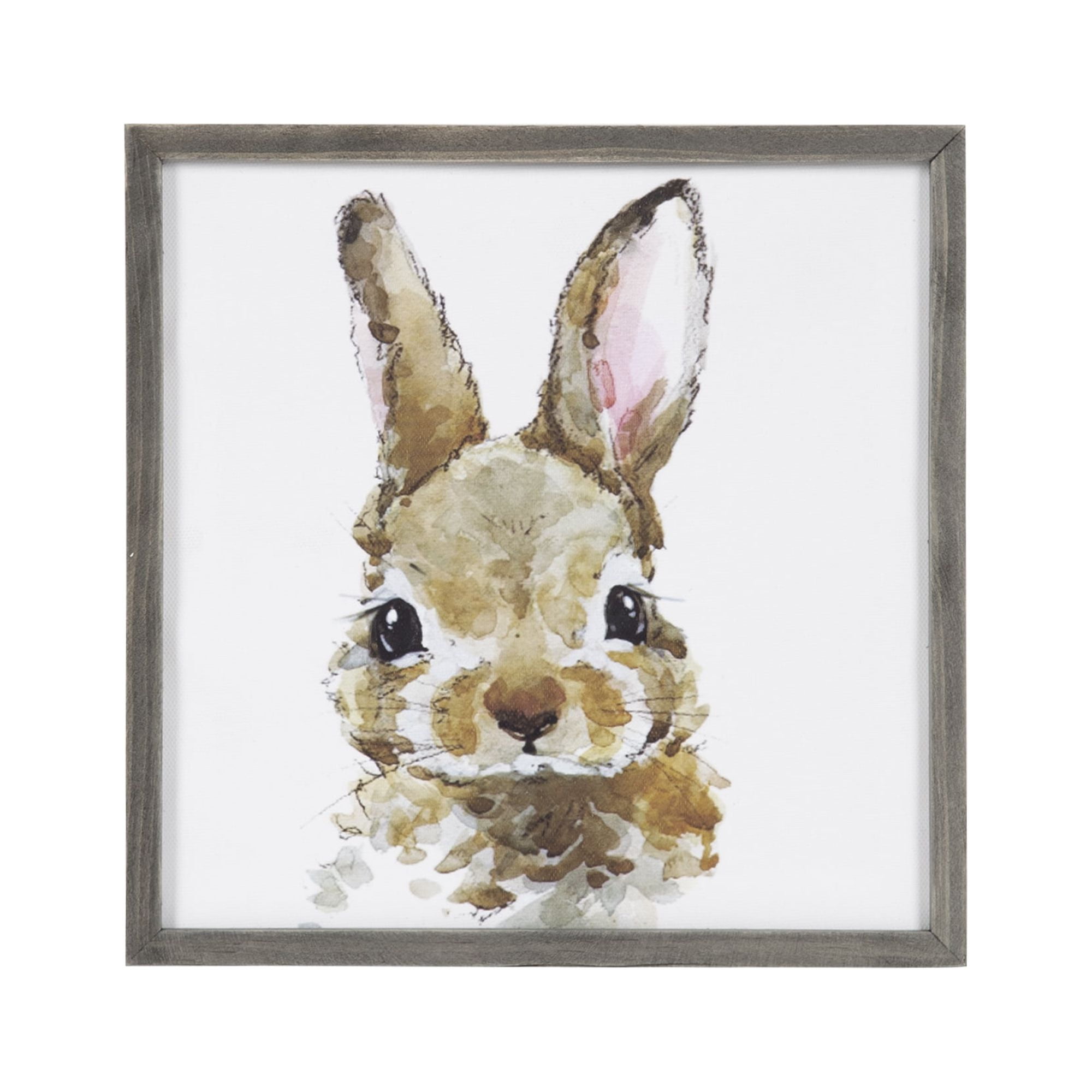 Female Baby Bunny Rabbit Animal Print Portrait cheapest Framed Canvas Wall Art, 18x24 Gra