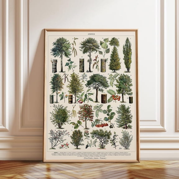 Woodland Botanical Forest Outdoors Nature Wall Decoration, Unframed Poster