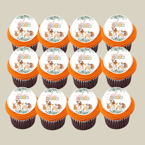 Woodland Buddies Deer Owl Raccoon Cake Decoration Edible Frosting Photo Sheet#463