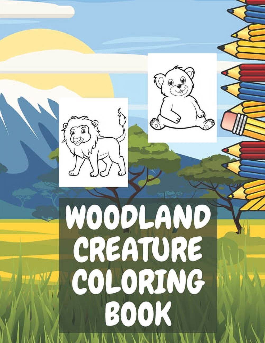Woodland Creature Coloring Book: Beautiful Forest Animals Wildlife for Stress Relief and Relaxation Woodland Creatures J, (Paperback)