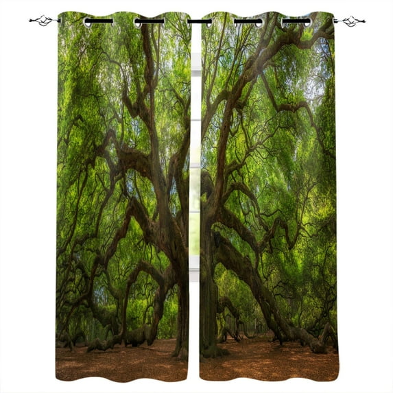 Woodland Curtains Woodland Scene with Trees and Pathway Foliage Trunk Greenery Outdoor Scenic Picture Living R